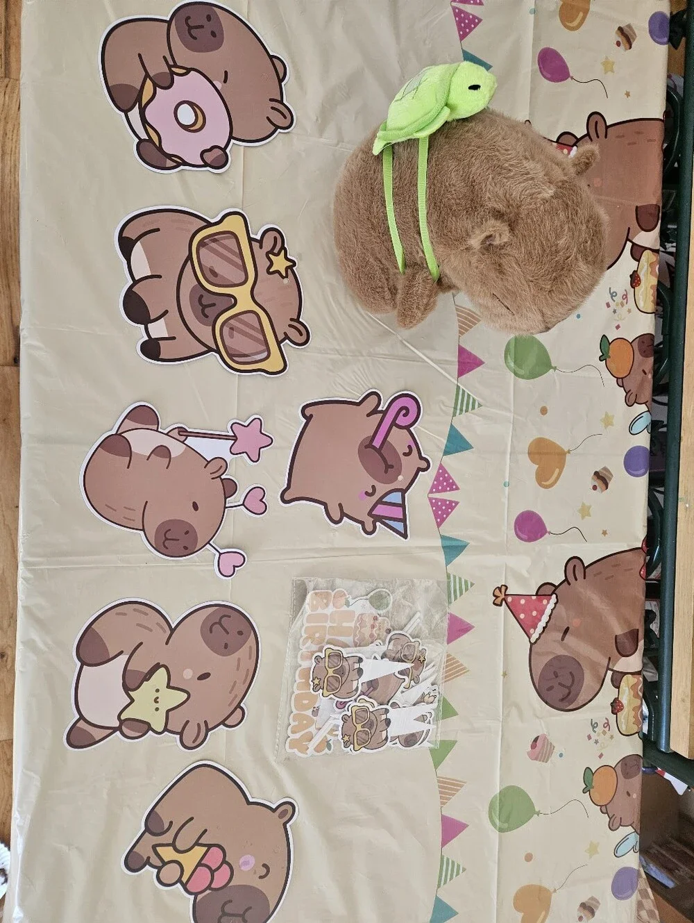 Capybara BIRTHDAY Bundle